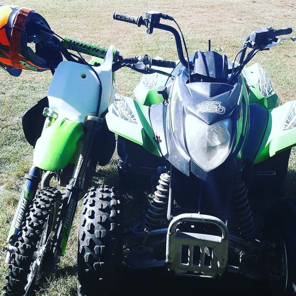 Meet your Posher, Robbie - Picture 1 of 1